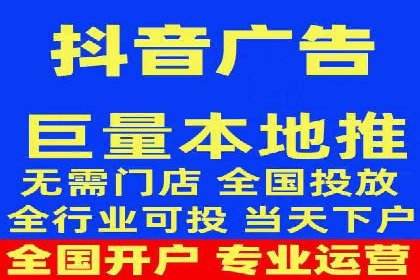 XX行业竞价广告的投放策略与效果分析
